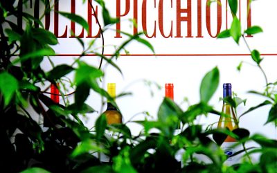 Colle Picchioni